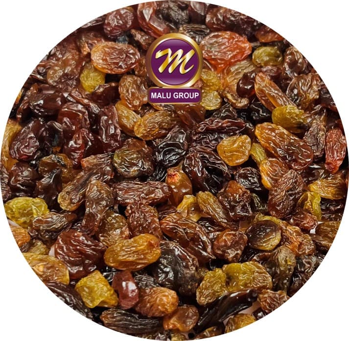 Malayar Raisins