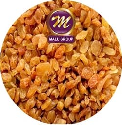 Nashik Golden Raisins
