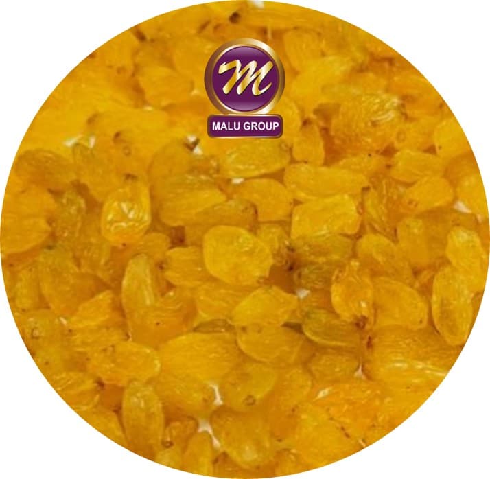 Gorakhpur Golden Raisins